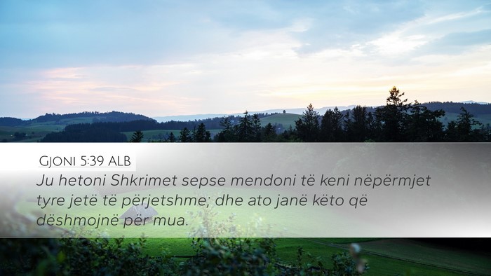 Gjoni 5:39 ALB Bible Verse Image