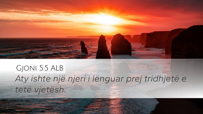Gjoni 5:5 ALB Desktop Wallpaper - Aty ishte një njeri i lënguar prej tridhjetë e - Desktop Bible Verse Wallpaper