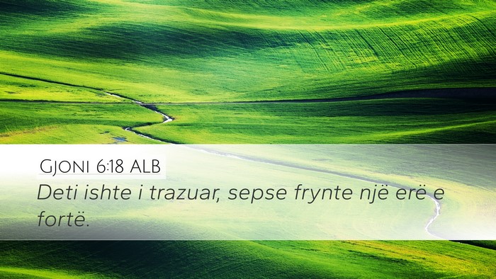 Gjoni 6:18 ALB Bible Verse Image