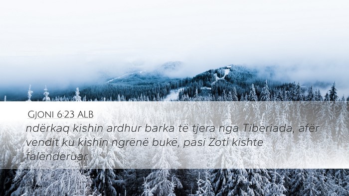 Gjoni 6:23 ALB Bible Verse Image