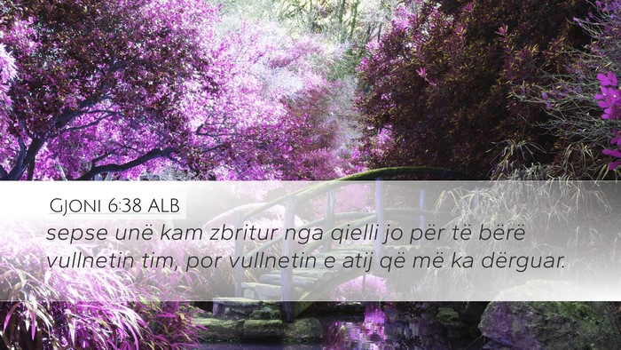 Gjoni 6:38 ALB Bible Verse Image