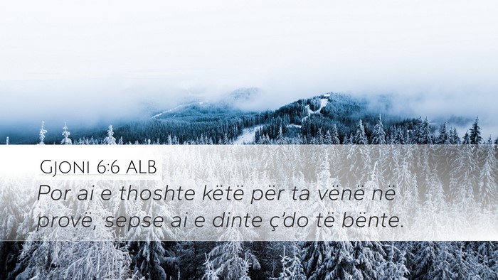 Gjoni 6:6 ALB Bible Verse Image