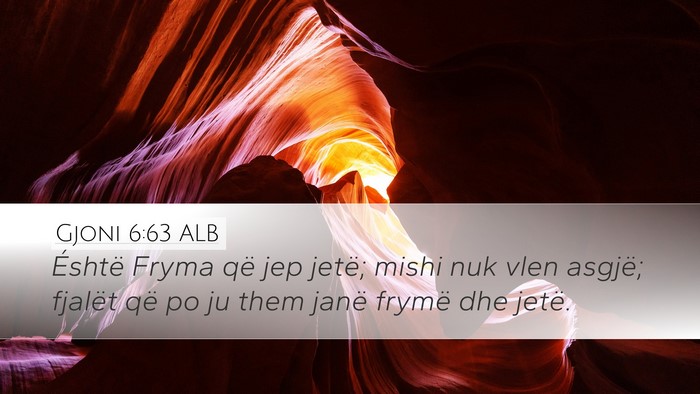 Gjoni 6:63 ALB Bible Verse Image