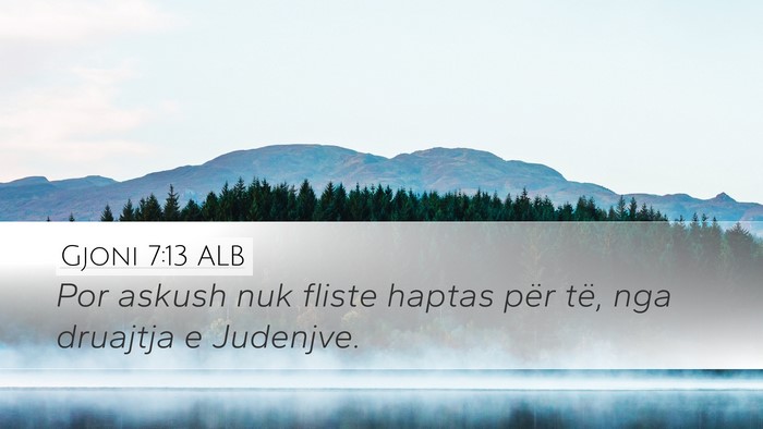 Gjoni 7:13 ALB Bible Verse Image
