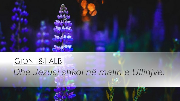 Gjoni 8:1 ALB Bible Verse Image