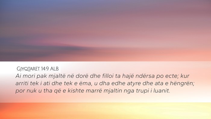 Gjyqtarët 14:9 ALB Desktop Wallpaper - Ai mori pak mjaltë në dorë dhe filloi ta hajë - Desktop Bible Verse Wallpaper