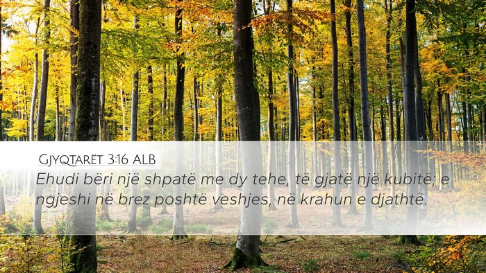 Gjyqtarët 3:16 ALB Desktop Wallpaper - Ehudi bëri një shpatë me dy tehe, të gjatë - Desktop Bible Verse Wallpaper