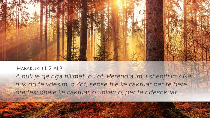 Habakuku 1:12 ALB Bible Verse Image