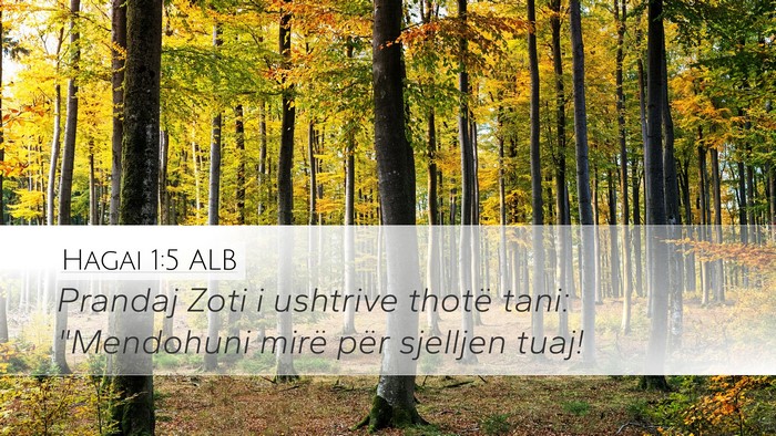 Hagai 1:5 ALB Bible Verse Image