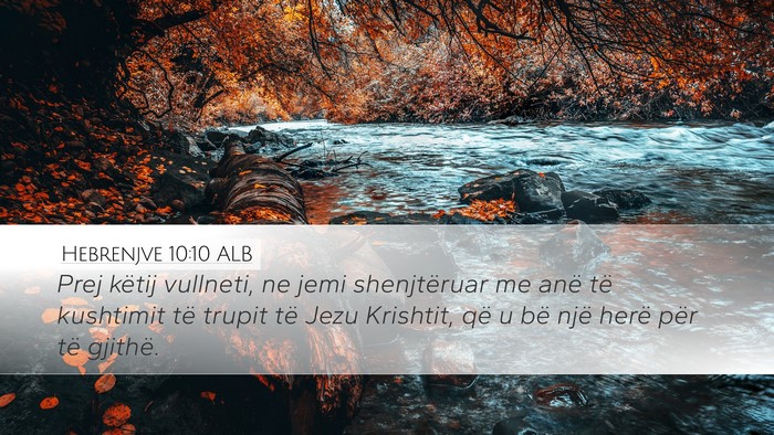 Hebrenjve 10:10 ALB Bible Verse Image