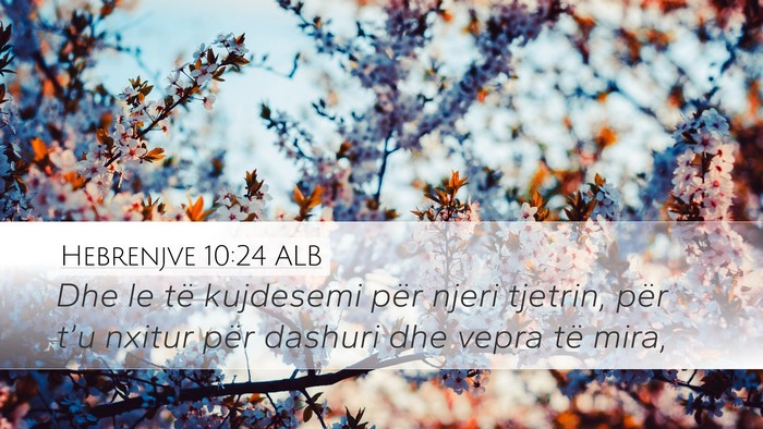 Hebrenjve 10:24 ALB Bible Verse Image