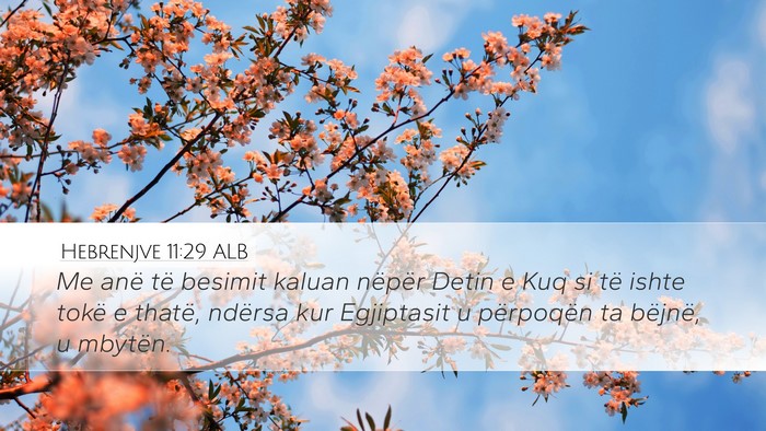 Hebrenjve 11:29 ALB Bible Verse Image