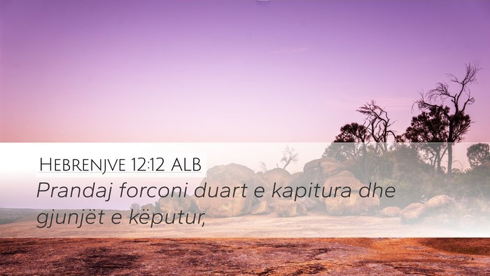 Hebrenjve 12:12 ALB Bible Verse Image