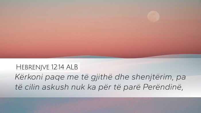 Hebrenjve 12:14 ALB Bible Verse Image
