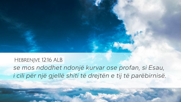 Hebrenjve 12:16 ALB Bible Verse Image