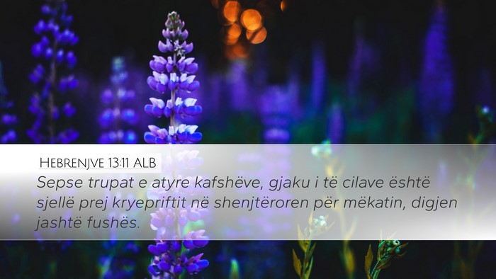 Hebrenjve 13:11 ALB Bible Verse Image
