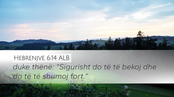Hebrenjve 6:14 ALB Bible Verse Image
