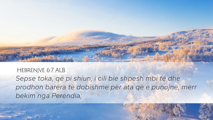 Hebrenjve 6:7 ALB Bible Verse Image
