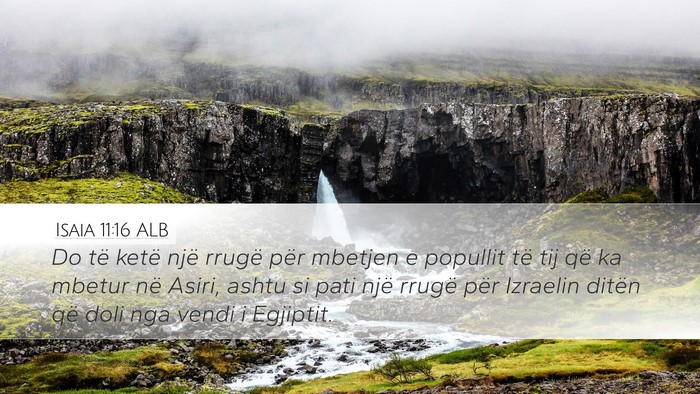 Isaia 11:16 ALB Bible Verse Image