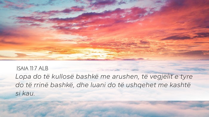 Isaia 11:7 ALB Desktop Wallpaper - Lopa do të kullosë bashkë me arushen, të - Desktop Bible Verse Wallpaper