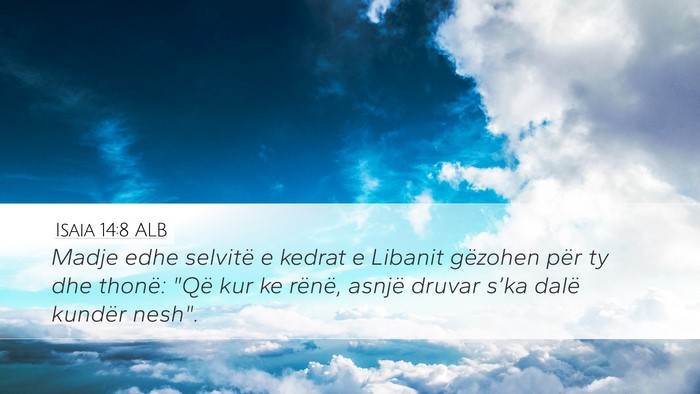Isaia 14:8 ALB Bible Verse Image