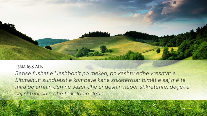 Isaia 16:8 ALB Bible Verse Image
