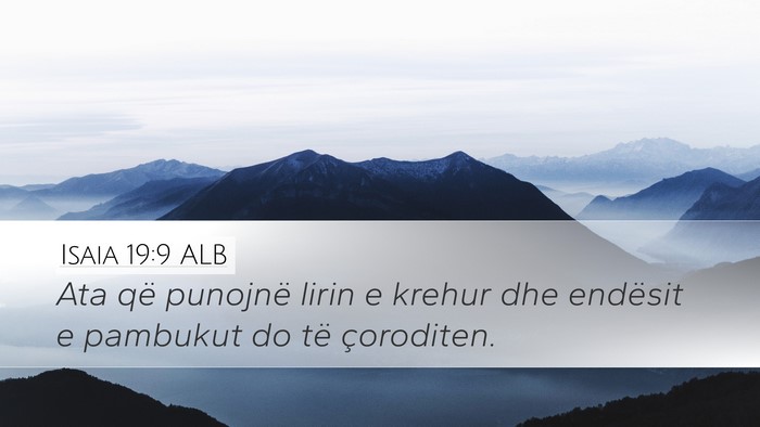 Isaia 19:9 ALB Bible Verse Image