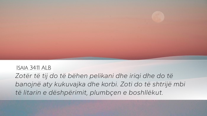 Isaia 34:11 ALB Bible Verse Image