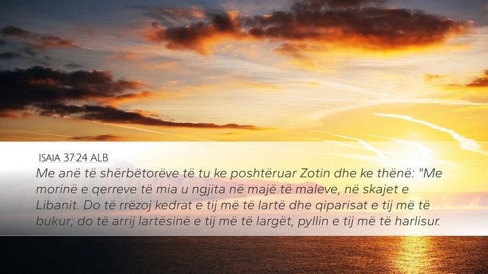 Isaia 37:24 ALB Bible Verse Image