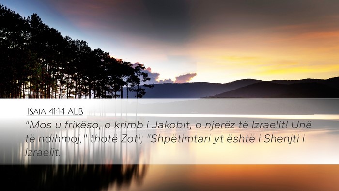 Isaia 41:14 ALB Bible Verse Image