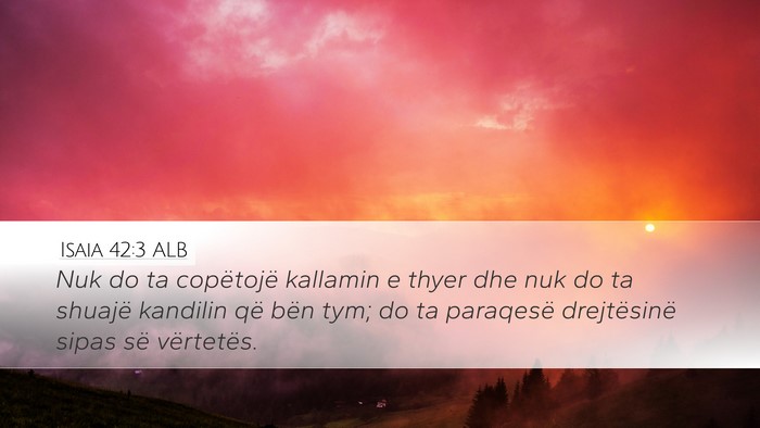 Isaia 42:3 ALB Bible Verse Image