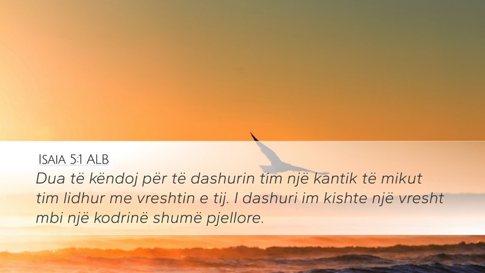 Isaia 5:1 ALB Bible Verse Image