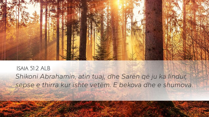 Isaia 51:2 ALB Bible Verse Image