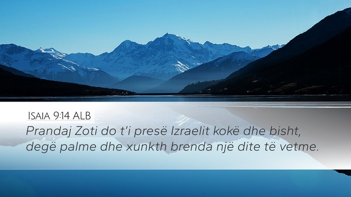 Isaia 9:14 ALB Bible Verse Image