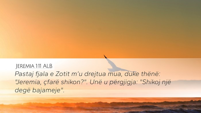 Jeremia 1:11 ALB Desktop Wallpaper - Pastaj fjala e Zotit m’u drejtua mua, duke - Desktop Bible Verse Wallpaper