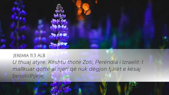 Jeremia 11:3 ALB Desktop Wallpaper - U thuaj atyre: Kështu thotë Zoti, Perëndia i - Desktop Bible Verse Wallpaper