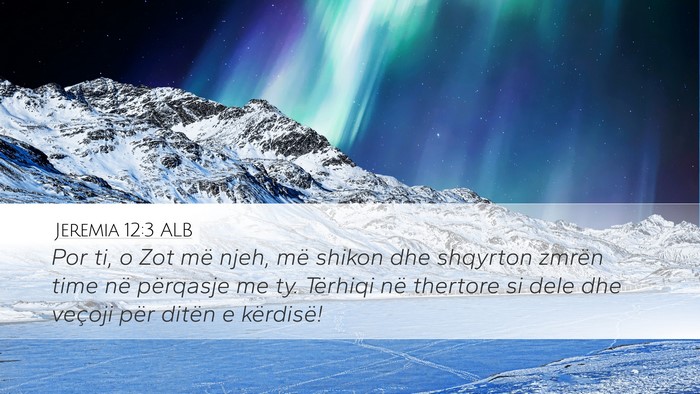 Jeremia 12:3 ALB Bible Verse Image