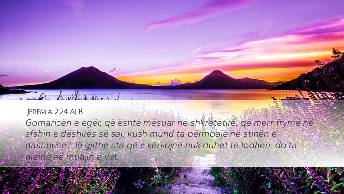 Jeremia 2:24 ALB Bible Verse Image
