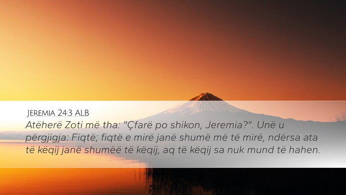 Jeremia 24:3 ALB Bible Verse Image
