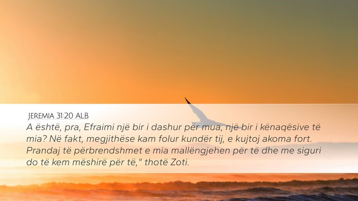 Jeremia 31:20 ALB Bible Verse Image