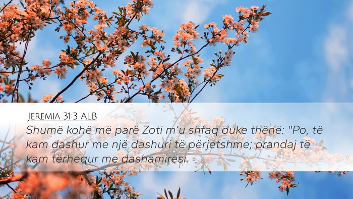 Jeremia 31:3 ALB Bible Verse Image