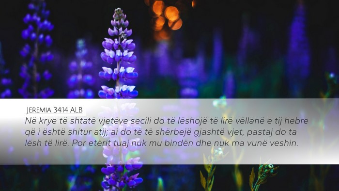 Jeremia 34:14 ALB Bible Verse Image