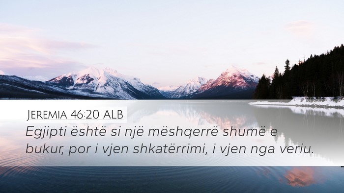 Jeremia 46:20 ALB Bible Verse Image
