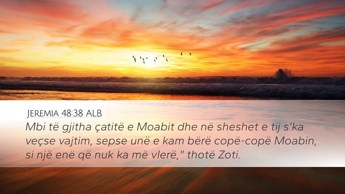 Jeremia 48:38 ALB Bible Verse Image