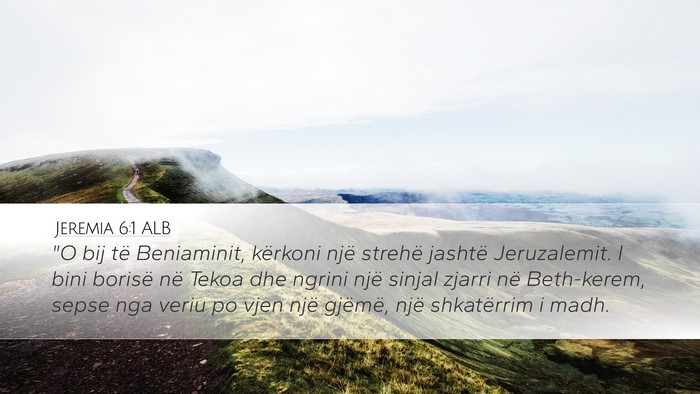 Jeremia 6:1 ALB Bible Verse Image