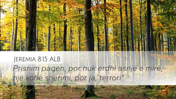 Jeremia 8:15 ALB Desktop Wallpaper - Prisnim paqen, por nuk erdhi asnjë e mirë, një - Desktop Bible Verse Wallpaper