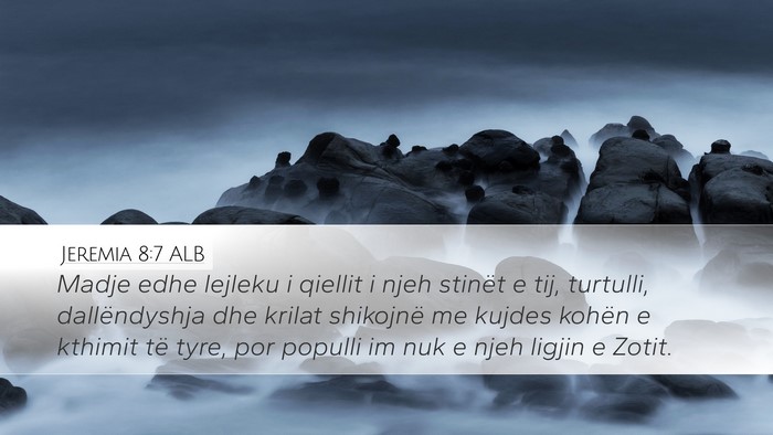 Jeremia 8:7 ALB Bible Verse Image
