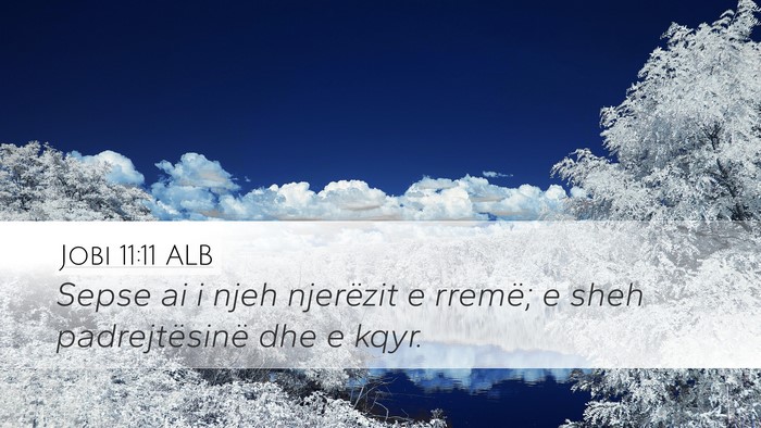 Jobi 11:11 ALB Bible Verse Image