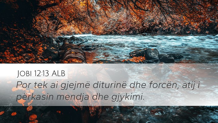 Jobi 12:13 ALB Bible Verse Image