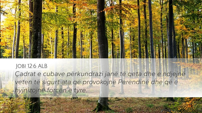 Jobi 12:6 ALB Bible Verse Image